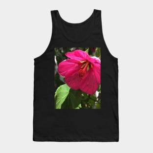 The Shy and Tender Pink Flowering Maple Tank Top